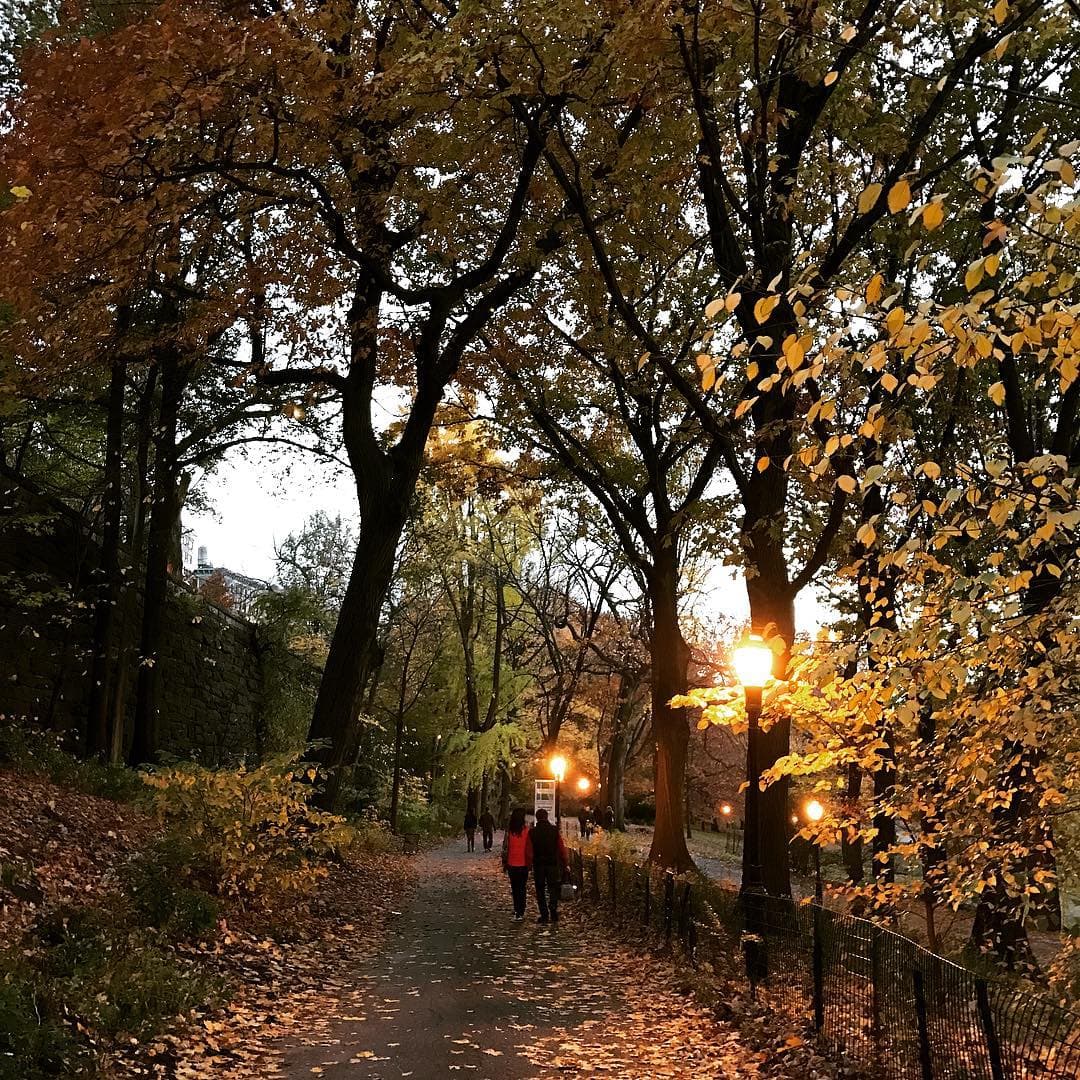 A renter wants to ditch her roomies, a New Yorker is on a mission to enforce rent laws, and more of the week's top stories