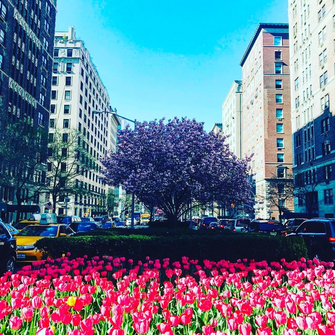 Study shows that NYC is the best city for grads to find jobs—but that doesn't mean it's easy to live here